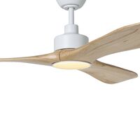 Eglo Currumbin 18W LED Light Accessory White