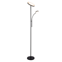Domus Samson Floor Lamp