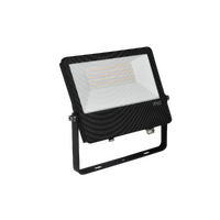 Energetic Supvalite Pro 30/20/10W LED Floodlight