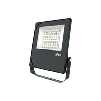 Energetic Maxi-Flood 50W LED Floodlight