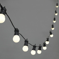 Toongabbie Opal Festoon Lights 24V 10m