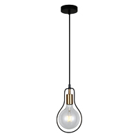 CLA Contour 1 Pendant 
