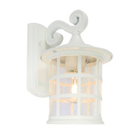 Cougar Coventry Exterior Small Wall Light White