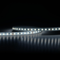 SAL FLEXI Streamline 5m 6500K High Output COB LED Strip Light
