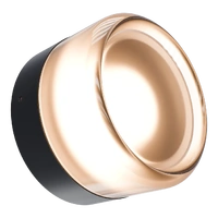 Calibo Gull Round Frosted Exterior Wall Light Black