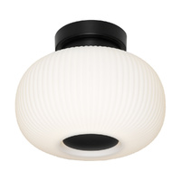Cougar Hutton Batten Fix Black