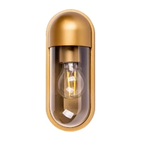 Havit Lume Polycarbonate Brass Wall Light