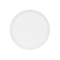 Havit Slim White 30W LED Ceiling Mounted Oyster