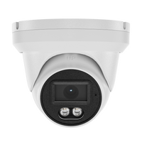 PSA IntelLink Full Colour Turret Network Camera