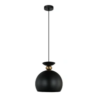 CLA Kansi Wine Glass Pendant Matt Black