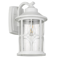 Telbix Lenore 21cm White Exterior Wall Light