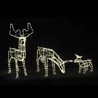 3D Illuminated LED Motorised Reindeer Family Warm White