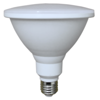 LED PAR 38 Lamp