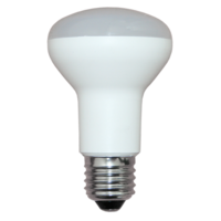 LED R63 Reflector Lamp