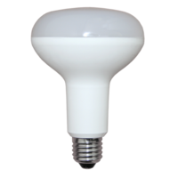 LED R95 Reflector Lamp