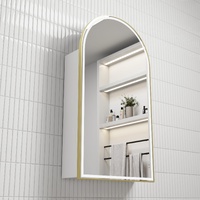 Aulic Canterbury LED Shaving Cabinet White Brushed Gold Frame 500mm