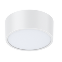 Haneco Meteor Evo 10/12W Surface Mount LED Downlight