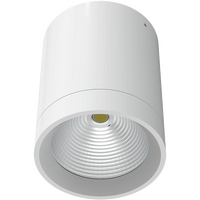 Haneco Meteor 20W Tri-Colour Surface Mount LED Downlight White
