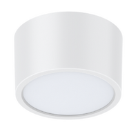 Haneco Meteor Evo 4/6W Surface Mounted LED Downlight