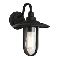 Cougar Montana Exterior Wall Light Black