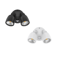 Domus Muro 20W Security Spotlight with Sensor