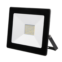 Mercator Ludo II 30W LED Floodlight