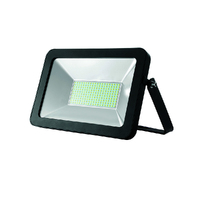 Mercator Aspect 100W LED Floodlight