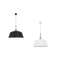 CLA Nordic Dome Steel & Wood Pendant