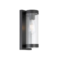 Telbix Provo Exterior Wall Light Black Clear Glass