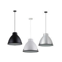 Domus Riley 450mm Metal Diffused Pendant