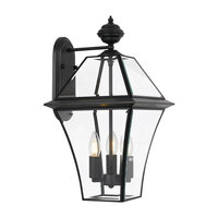 Telbix Rye 27cm Exterior Wall Light Solid Brass Black