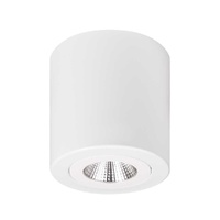 SAL Ecostar 12W LED Surface Mount Downlight White