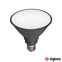 Mercator Smart Par38 Globe Zigbee