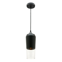 Cougar Slim Pendant