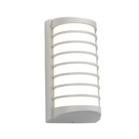 Cougar Tacoma Exterior Wall Light Silver