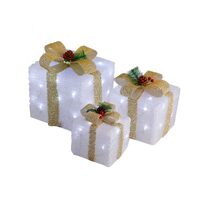LED Acrylic Gift Box Set Champagne