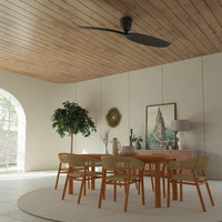 Why Everyone's Switching to Minimalist 2 to 3 Blade Ceiling Fans image